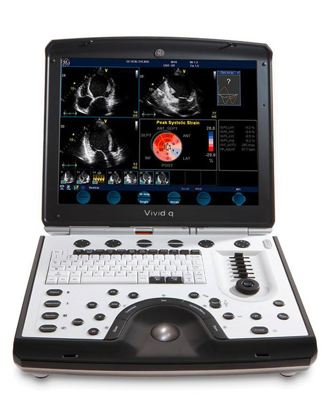 GE Vivid q Ultrasound Machine